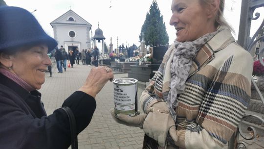 17 tys. zł na ratowanie najstarszych grobów