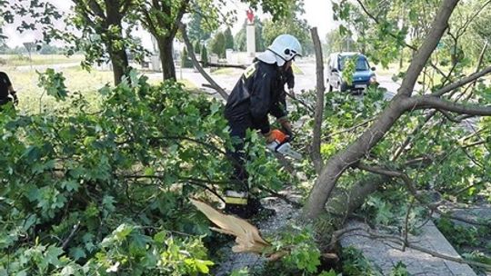 81 interwencji po przejściu wichury