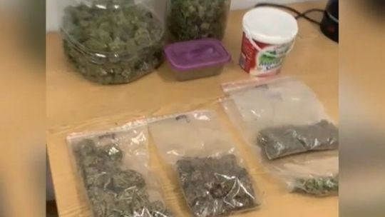 Blisko kilogram marihuany zabezpieczony. Kryminalni z Garwolina zlikwidowali plantację konopi Blisko kilogram marihuany zabezpieczony. Kryminalni z Garwolina zlikwidowali plantację konopi