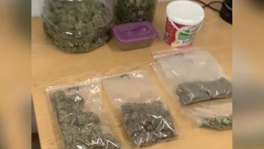 Blisko kilogram marihuany zabezpieczony. Kryminalni z Garwolina zlikwidowali plantację konopi [wideo]