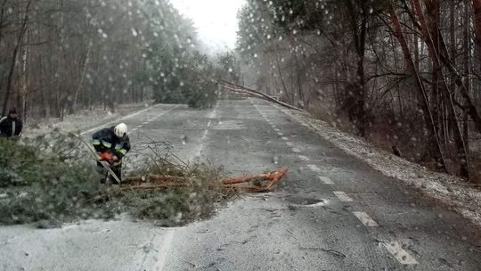 Burza i śnieżyca. 70 powalonych drzew