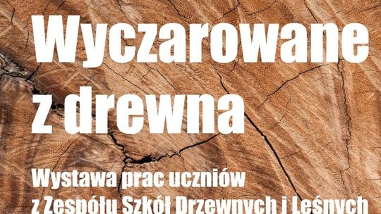 Czary z drewna – inspirująca wystawa w CSiK