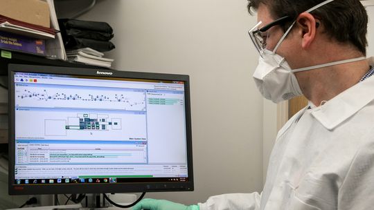 Czy można otrzymać L4 przez Internet?