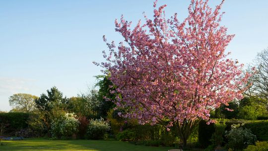 Czy piwnica ogrodowa to praktyczne rozwiązanie dla Twojej posesji?