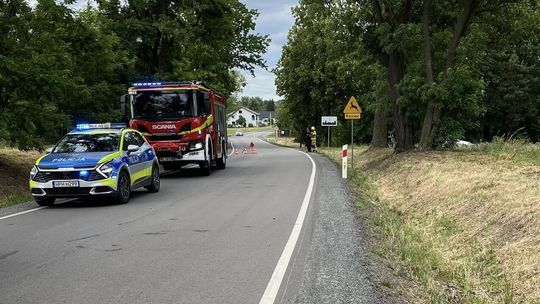 Dachowanie w Sobolewie