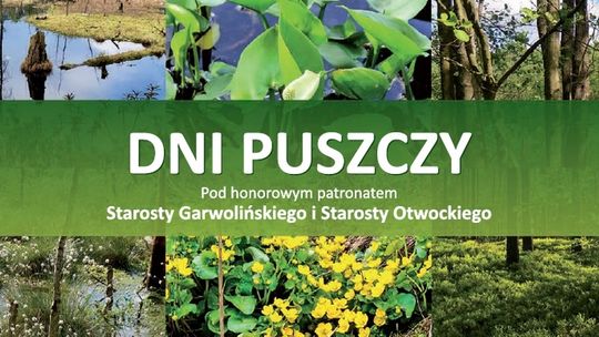 Dni Puszczy po raz pierwszy