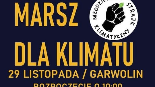 Dosyć słów, teraz czyny! Młodzi wyjdą na ulice - w obronie klimatu