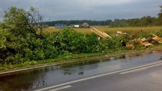 Drzewo blokowało krajówkę