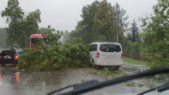 Drzewo spadło na auto z kobietą w ciąży