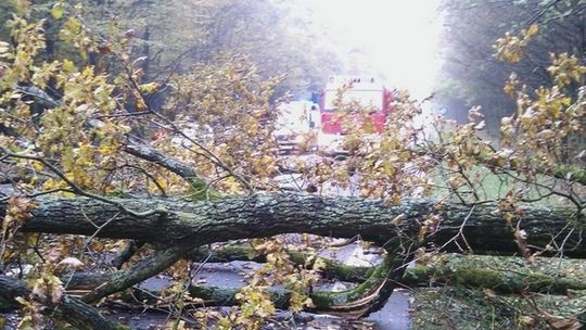 Gwałtowne burze przechodzą nad powiatem [aktualizacja]