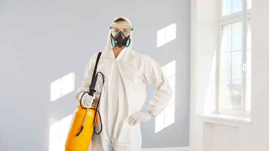 wygrzewanie pluskiew insektstop.pl