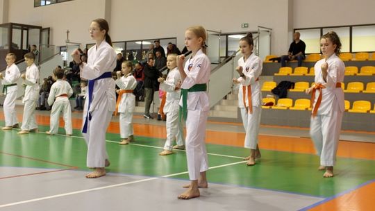 I Turniej Karate Shorin-Ryu Ziemi Garwolińskiej o Puchar Niepodległości