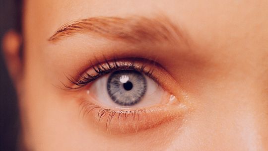 Jak skutecznie umówić wizytę u optometrysty i co przygotować, aby badanie wzroku było efektywne?