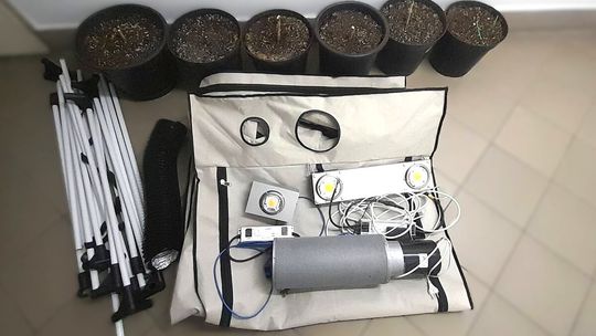 Kokaina, marihuana, mefedron i sprzęt do uprawy konopi. Kryminalni zatrzymali dwóch podejrzanych Kokaina, marihuana, mefedron i sprzęt do uprawy konopi. Kryminalni zatrzymali dwóch podejrzanych