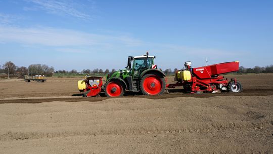 Komosa biała w ziemniakach pod kontrolą. Jak skutecznie ograniczyć zachwaszczenie plantacji?