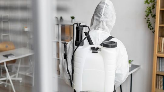 Kompleksowa dezynsekcja na Bemowie – skuteczne zwalczanie insektów w Warszawie