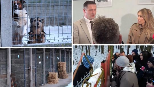 Kontrole, apel posła i kolejny protest. Narasta spór wokół schroniska „Happy Dog” w Sobolewie Kontrole, apel posła i kolejny protest. Narasta spór wokół schroniska „Happy Dog” w Sobolewie