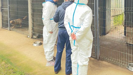 Kontrole w schronisku „Happy Dog” w Sobolewie. Wojewoda: brak potwierdzenia medialnych doniesień