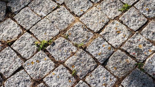 Kostka brukowa – jaką wybrać, ile kosztuje i jak wygląda układanie? Kostka brukowa – jaką wybrać, ile kosztuje i jak wygląda układanie?