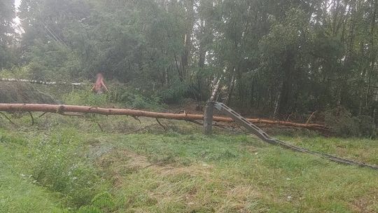 Krótka, ale intensywna burza nad powiatem garwolińskim. Strażacy usuwają skutki nawałnicy