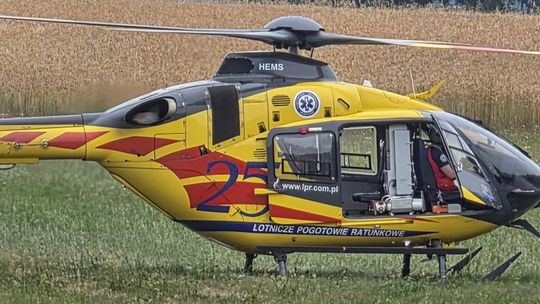 Mężczyzna użądlony przez szerzenia. LPR lądowało na łące [wideo]