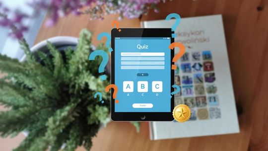 Nowość na portalu. Quizy. Na początek sprawdź, czy jesteś prawdziwym Bedokiem