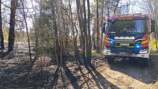 O pożarze lasu poinformował pilot samolotu