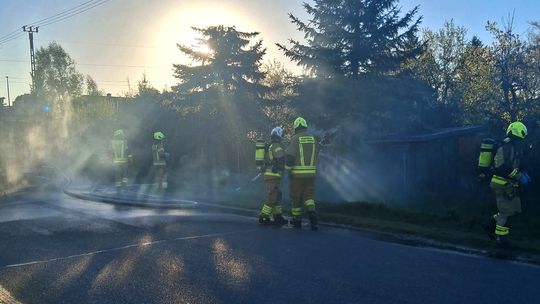 Ogień na działkach w Garwolinie. Strażacy szybko ugasili pożar