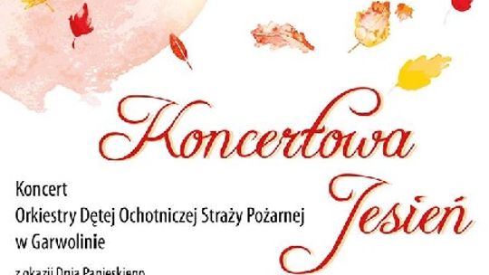 Orkiestrowy koncert dla Jana Pawła II