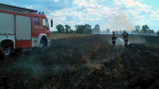 Płoną rżyska pod Garwolinem