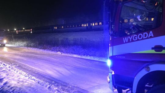 Pociąg uderzył w łosia. Ewakuacja pasażerów