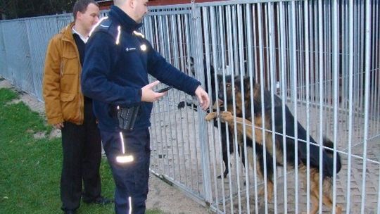 Policjanci pomogli bezdomnym zwierzętom