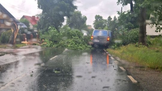 Powalone drzewa i uszkodzone auto – wichura przeszła przez powiat