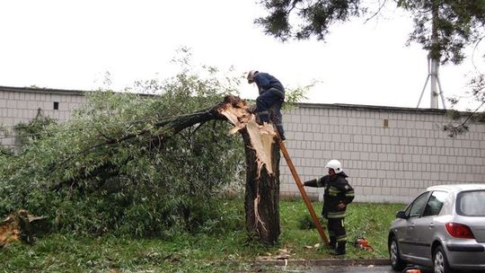 Powalone drzewa, zerwane trakcje i dachy