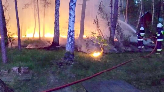 Pożar lasu w Wildze. Zapaliło się od grilla?