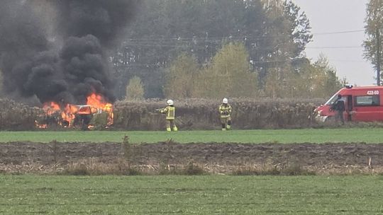 Pożar samochodu osobowego w Brzegach. Interweniowała straż pożarna