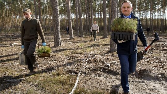 Prezydent sadził drzewa pod Maciejowicami