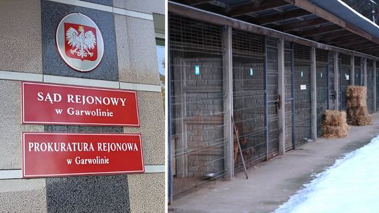 Prokuratura bada znęcanie się nad zwierzętami w schronisku „Happy Dog”