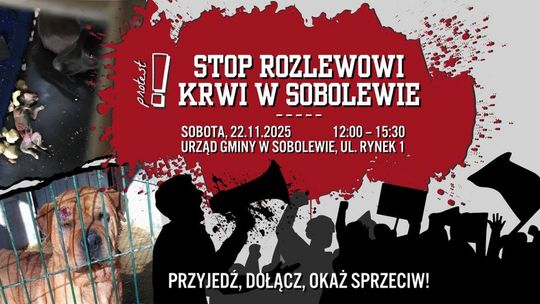 Protest w obronie zwierząt ze schroniska „Happy Dog” w Sobolewie