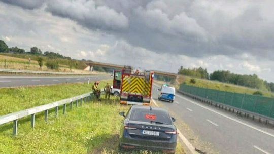 Renault wjechało w bariery na S17