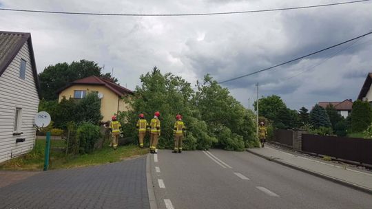 Silny wiatr łamał gałęzie. Strażacy interweniowali 18 razy