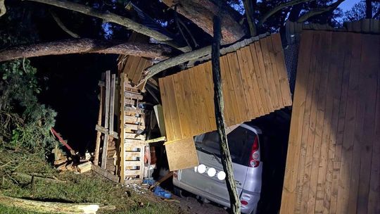 Silny wiatr powalił drzewo na garaż