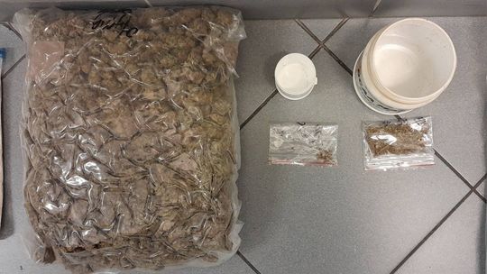 Skuteczna akcja policjantów z Garwolina – 6,5 kg przejętych narkotyków, zatrzymania i areszty Skuteczna akcja policjantów z Garwolina – 6,5 kg przejętych narkotyków, zatrzymania i areszty