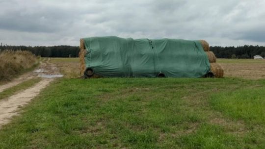 Słoma zamiast koca. Policjanci nie pozwolili, by noc spędził na polu