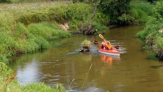 Śnięte ryby w Wildze. Pobrano próbki wody