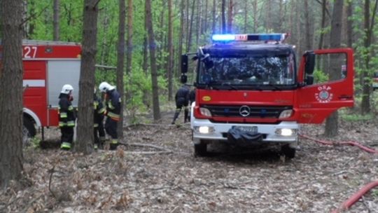 Strażacy sprawdzali się na wypadek pożaru lasu