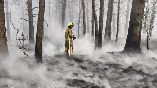 Strażacy z powiatu garwolińskiego nadal walczą z ogromnym pożarem lasu. Opublikowali zdjęcia z akcji