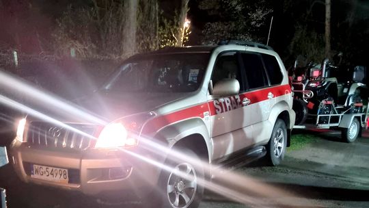 Szukali jej pod osłoną nocy