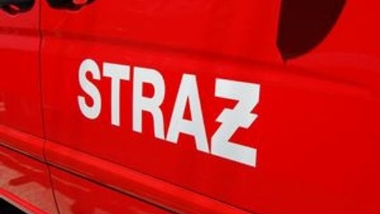 Trojanów: Uderzony przez wycinane drzewo