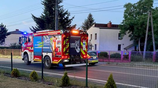 Uderzył w drzewo, porzucił auto i zniknął